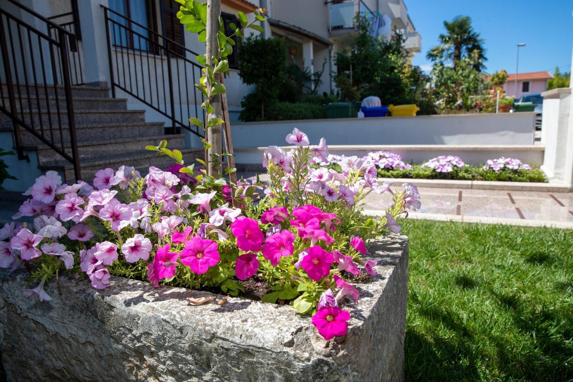 Studio Apartment Noah Ρόβινι Εξωτερικό φωτογραφία